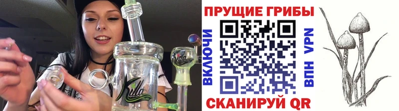 Псилоцибиновые грибы MAGIC MUSHROOMS  где можно купить наркотик  Шумиха 